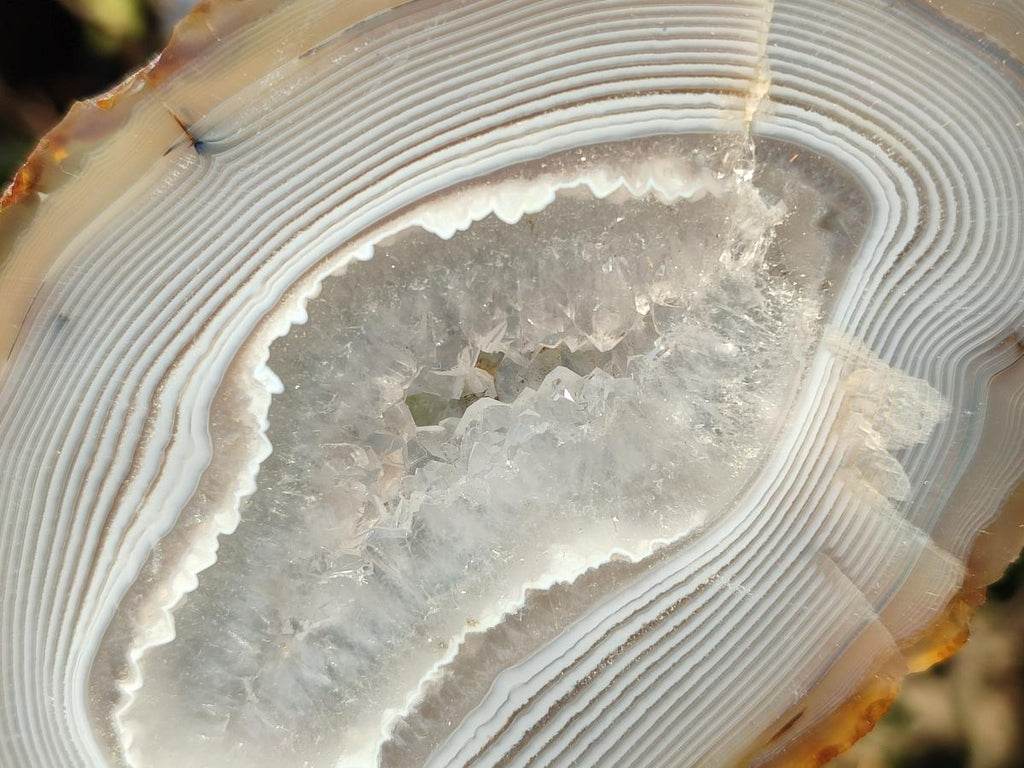 Polished Banded Agate Slices x 12 From Madagascar - Toprock Gemstones and Minerals 