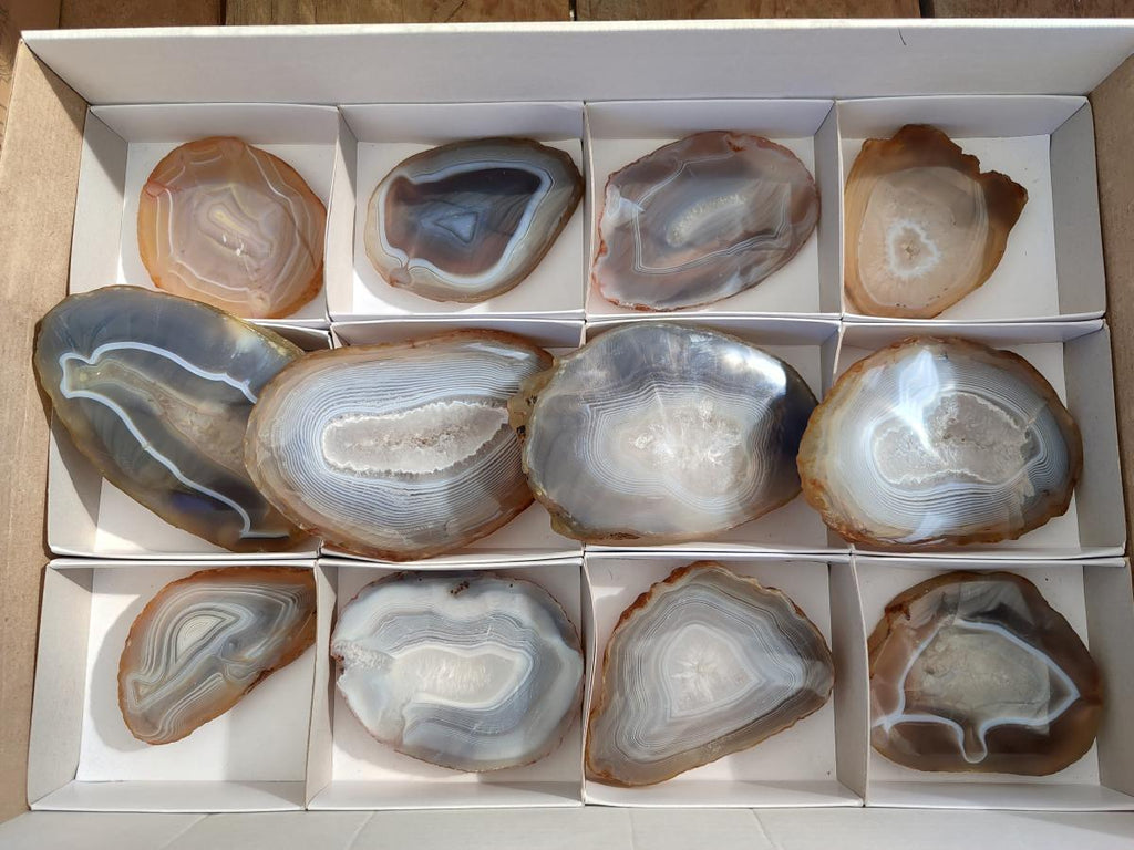 Polished Banded Agate Slices x 12 From Madagascar - Toprock Gemstones and Minerals 
