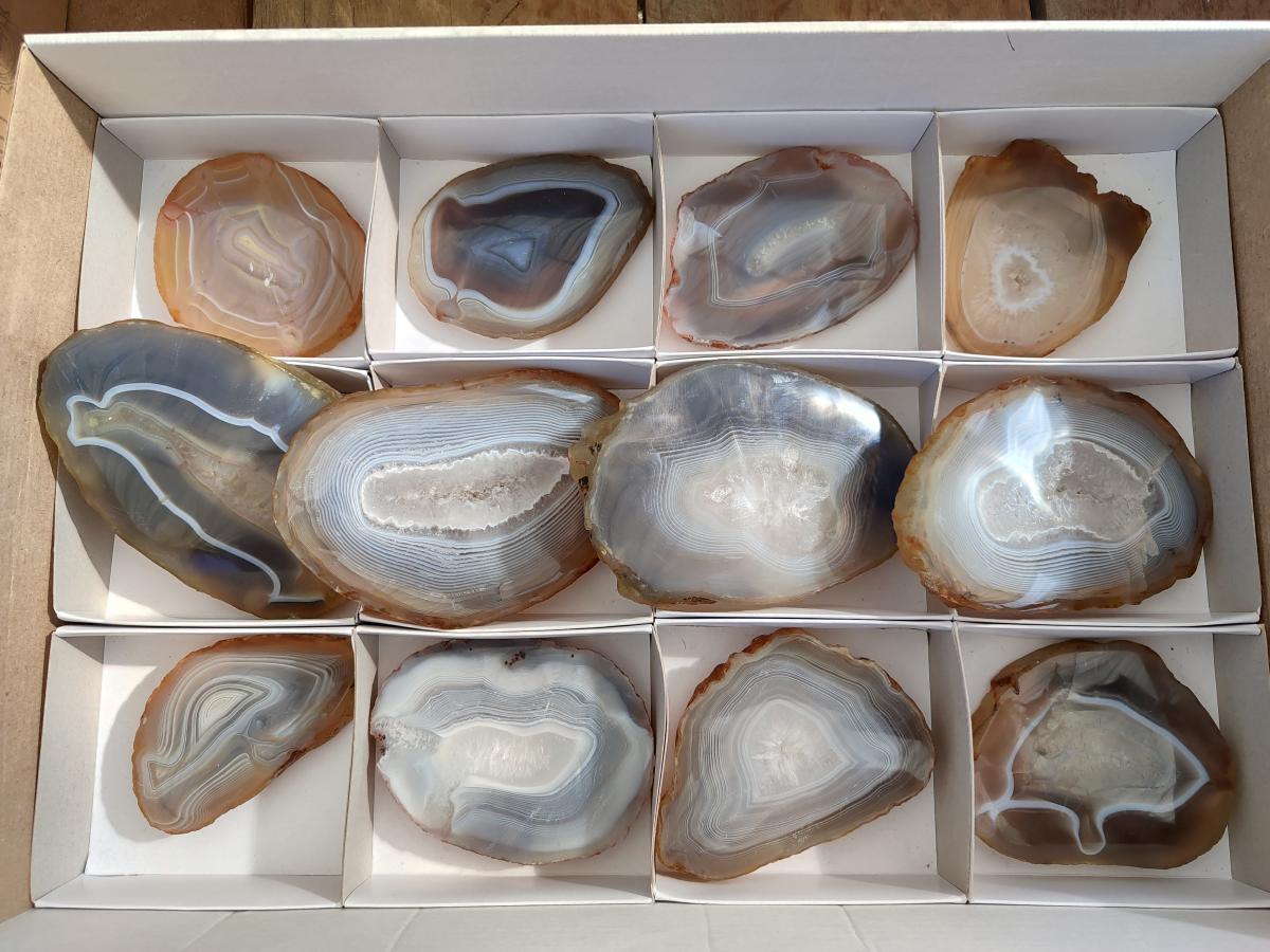 Polished Banded Agate Slices x 12 From Madagascar - Toprock Gemstones and Minerals 
