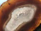 Polished Banded Agate Slices x 12 From Madagascar - Toprock Gemstones and Minerals 