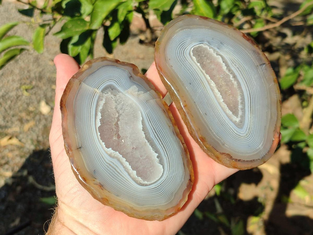 Polished Banded Agate Slices x 12 From Madagascar - Toprock Gemstones and Minerals 