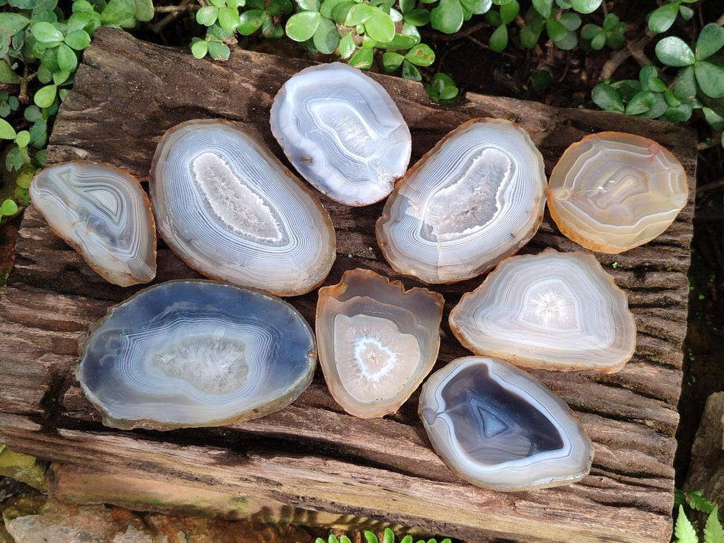 Polished Banded Agate Slices x 12 From Madagascar - Toprock Gemstones and Minerals 
