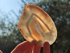 Polished Banded Agate Slices x 12 From Madagascar - Toprock Gemstones and Minerals 