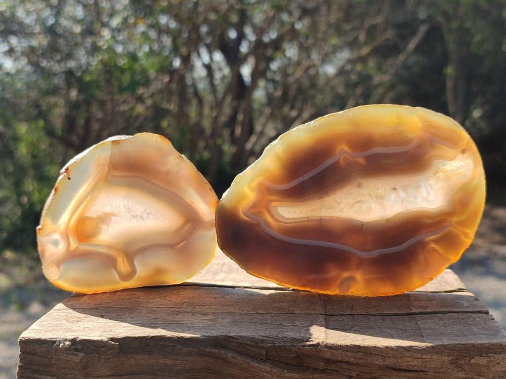 Polished Banded Agate Slices x 12 From Madagascar - Toprock Gemstones and Minerals 
