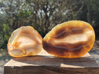 Polished Banded Agate Slices x 12 From Madagascar - Toprock Gemstones and Minerals 