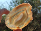 Polished Banded Agate Slices x 12 From Madagascar - Toprock Gemstones and Minerals 