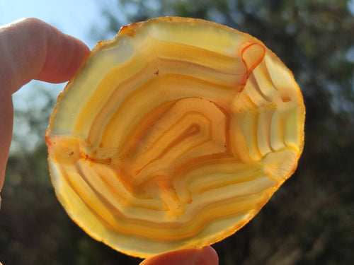 Polished Banded Agate Slices x 12 From Madagascar - Toprock Gemstones and Minerals 