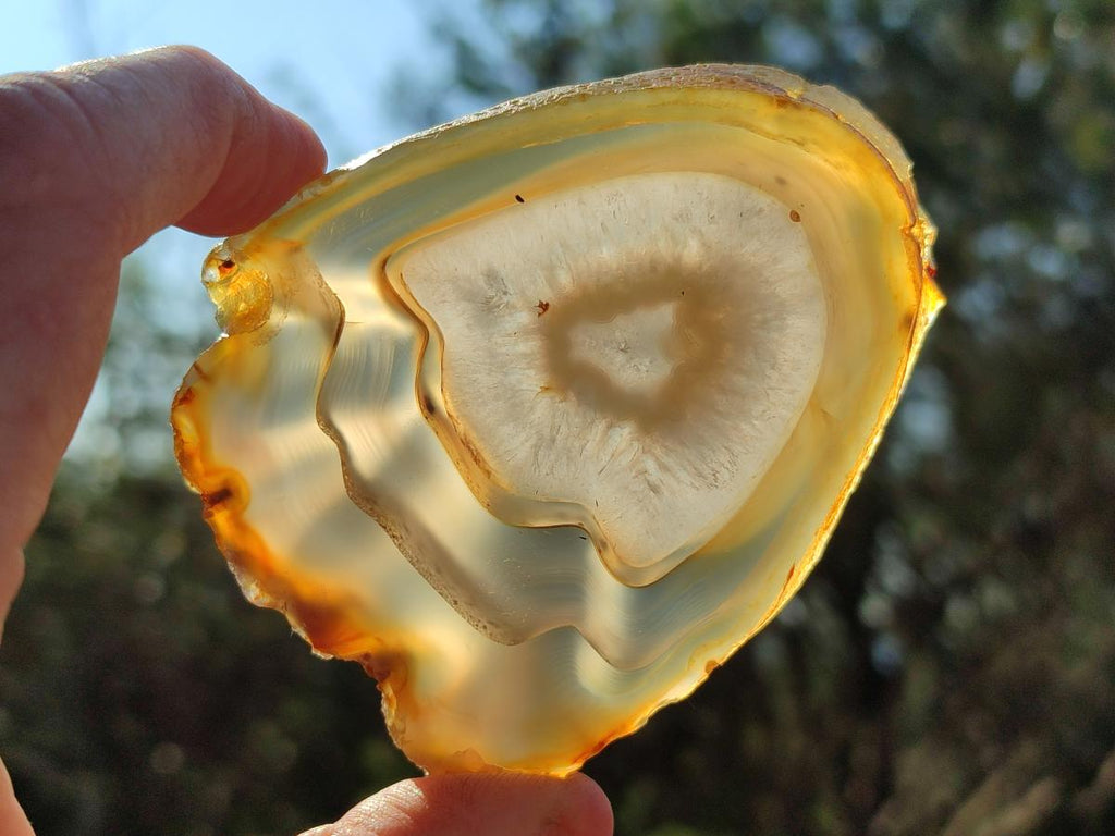 Polished Banded Agate Slices x 12 From Madagascar - Toprock Gemstones and Minerals 