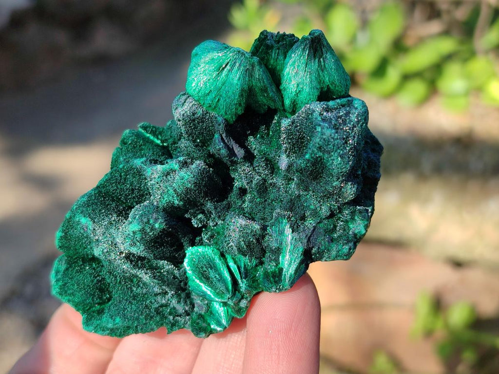 Natural Silky Malachite Specimens x 12 From Kasompe, Congo - Toprock Gemstones and Minerals 