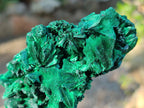 Natural Silky Malachite Specimens x 12 From Kasompe, Congo - Toprock Gemstones and Minerals 