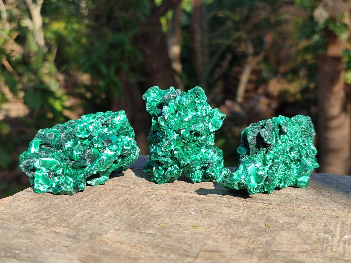 Natural Silky Malachite Specimens x 12 From Kasompe, Congo - Toprock Gemstones and Minerals 