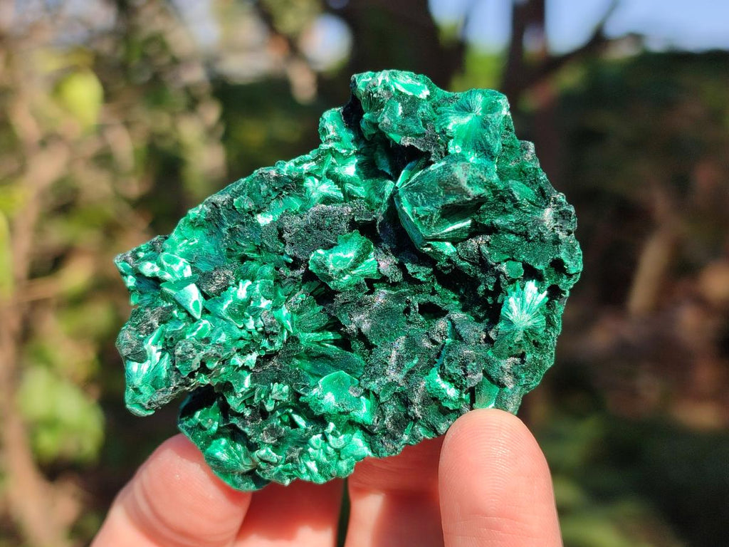 Natural Silky Malachite Specimens x 12 From Kasompe, Congo - Toprock Gemstones and Minerals 