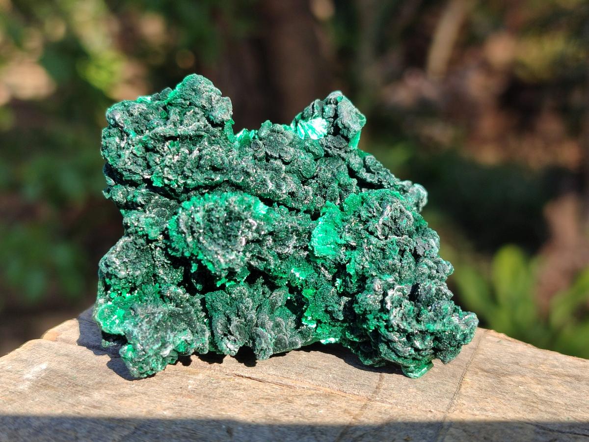 Natural Silky Malachite Specimens x 12 From Kasompe, Congo - Toprock Gemstones and Minerals 