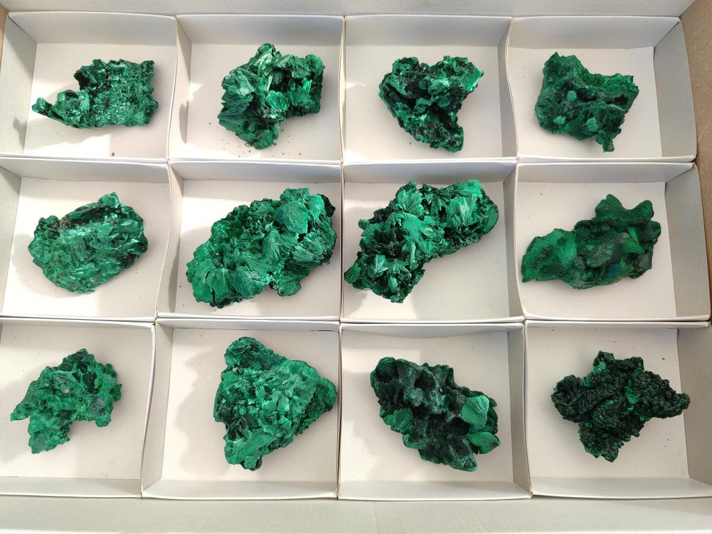 Natural Silky Malachite Specimens x 12 From Kasompe, Congo - Toprock Gemstones and Minerals 