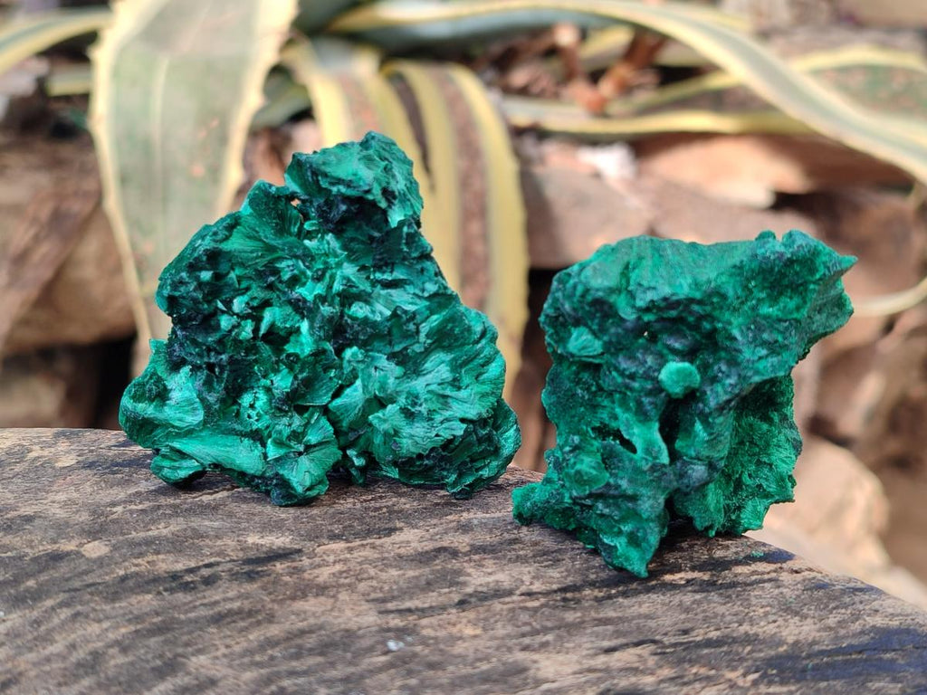 Natural Silky Malachite Specimens x 12 From Kasompe, Congo - Toprock Gemstones and Minerals 