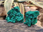 Natural Silky Malachite Specimens x 12 From Kasompe, Congo - Toprock Gemstones and Minerals 