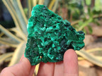 Natural Silky Malachite Specimens x 12 From Kasompe, Congo - Toprock Gemstones and Minerals 