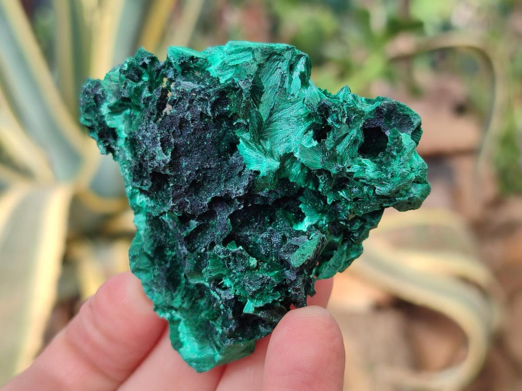 Natural Silky Malachite Specimens x 12 From Kasompe, Congo - Toprock Gemstones and Minerals 