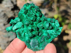Natural Silky Malachite Specimens x 12 From Kasompe, Congo - Toprock Gemstones and Minerals 