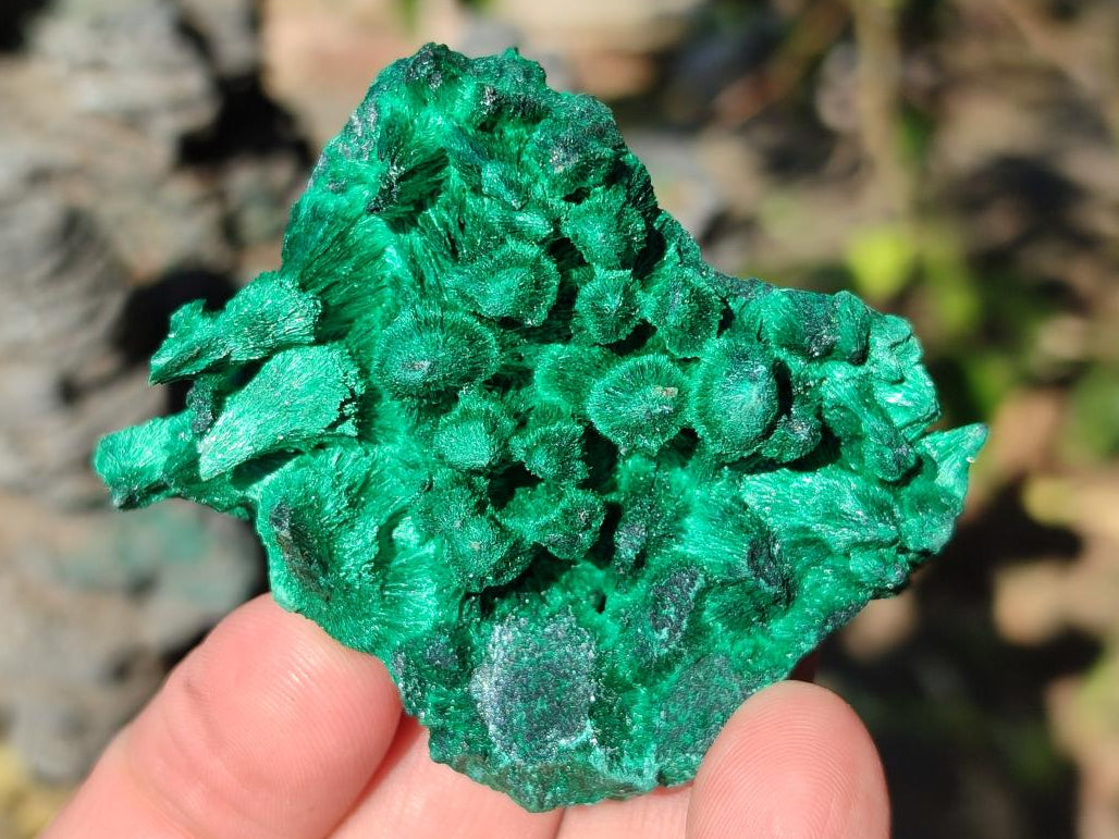 Natural Silky Malachite Specimens x 12 From Kasompe, Congo - Toprock Gemstones and Minerals 