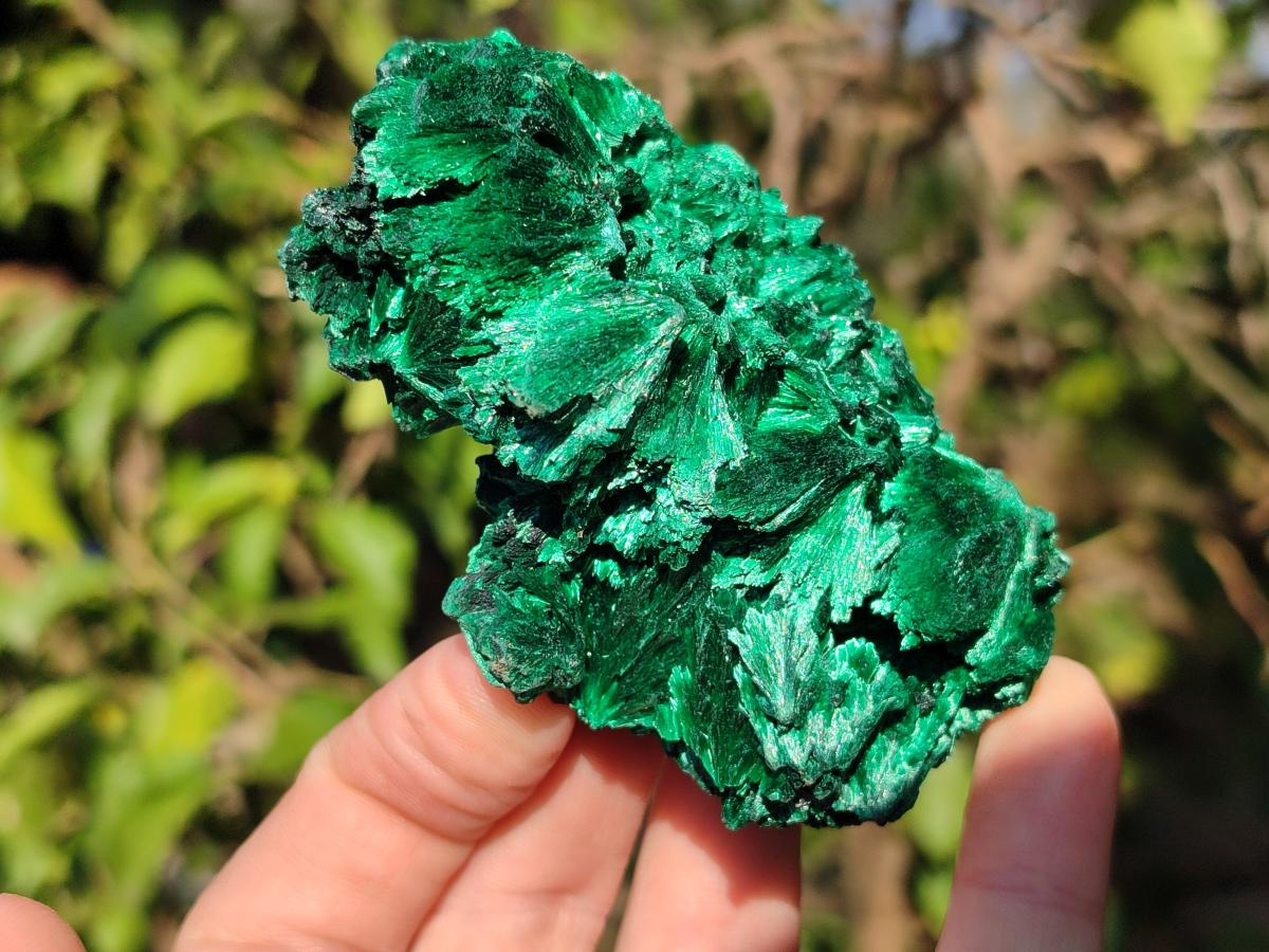 Natural Silky Malachite Specimens x 12 From Kasompe, Congo - Toprock Gemstones and Minerals 