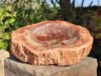 Polished Large Red Podocarpus Petrified Wood Bowl x 1 From Mahajanga, Madagascar - Toprock Gemstones and Minerals 