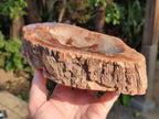 Polished Large Red Podocarpus Petrified Wood Bowl x 1 From Mahajanga, Madagascar - Toprock Gemstones and Minerals 