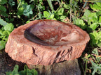 Polished Large Red Podocarpus Petrified Wood Bowl x 1 From Mahajanga, Madagascar - Toprock Gemstones and Minerals 