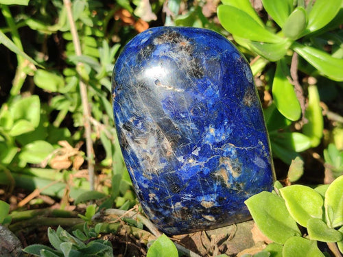 Polished Dumortierite Standing Display Pieces x 6 From Madagascar - Toprock Gemstones and Minerals 