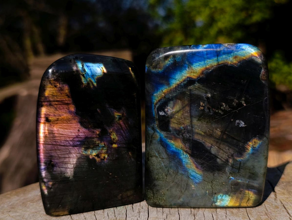 Polished Labradorite Standing Display Pieces x 6 From Madagascar - Toprock Gemstones and Minerals 