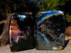 Polished Labradorite Standing Display Pieces x 6 From Madagascar - Toprock Gemstones and Minerals 