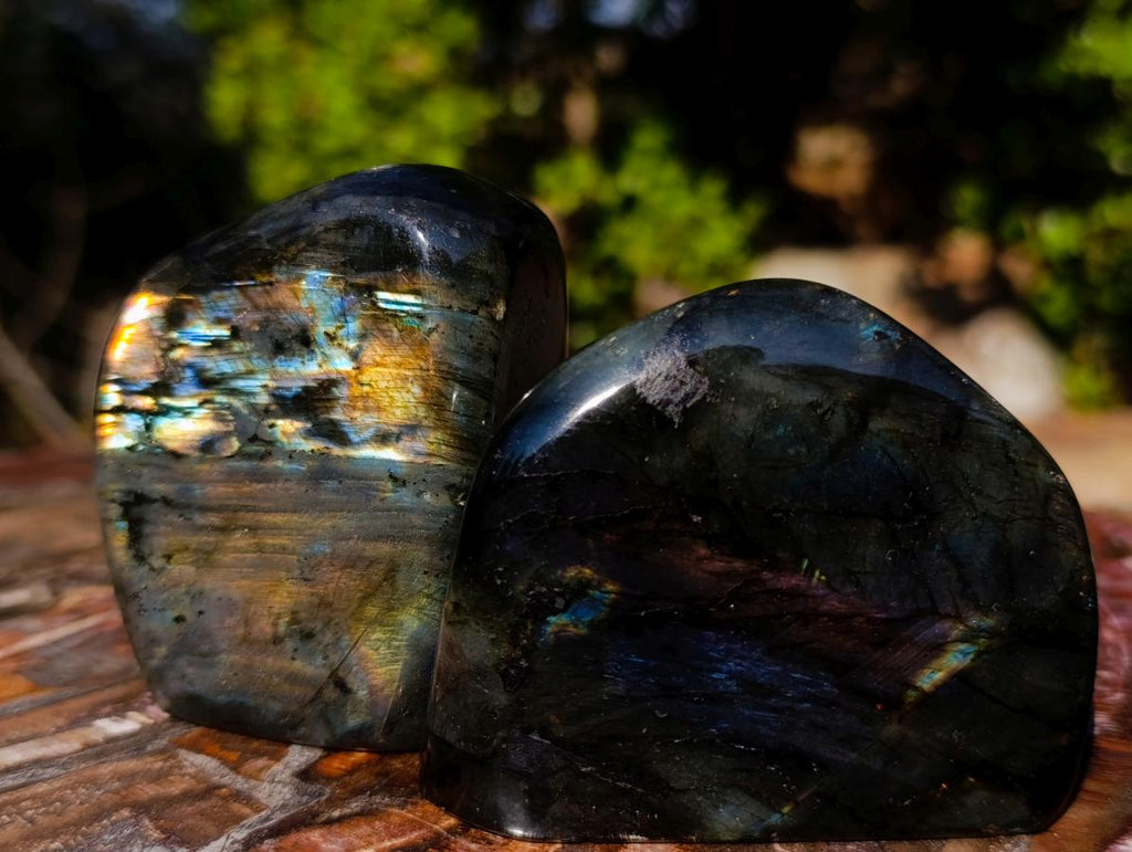 Polished Labradorite Standing Display Pieces x 6 From Madagascar - Toprock Gemstones and Minerals 