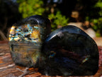 Polished Labradorite Standing Display Pieces x 6 From Madagascar - Toprock Gemstones and Minerals 