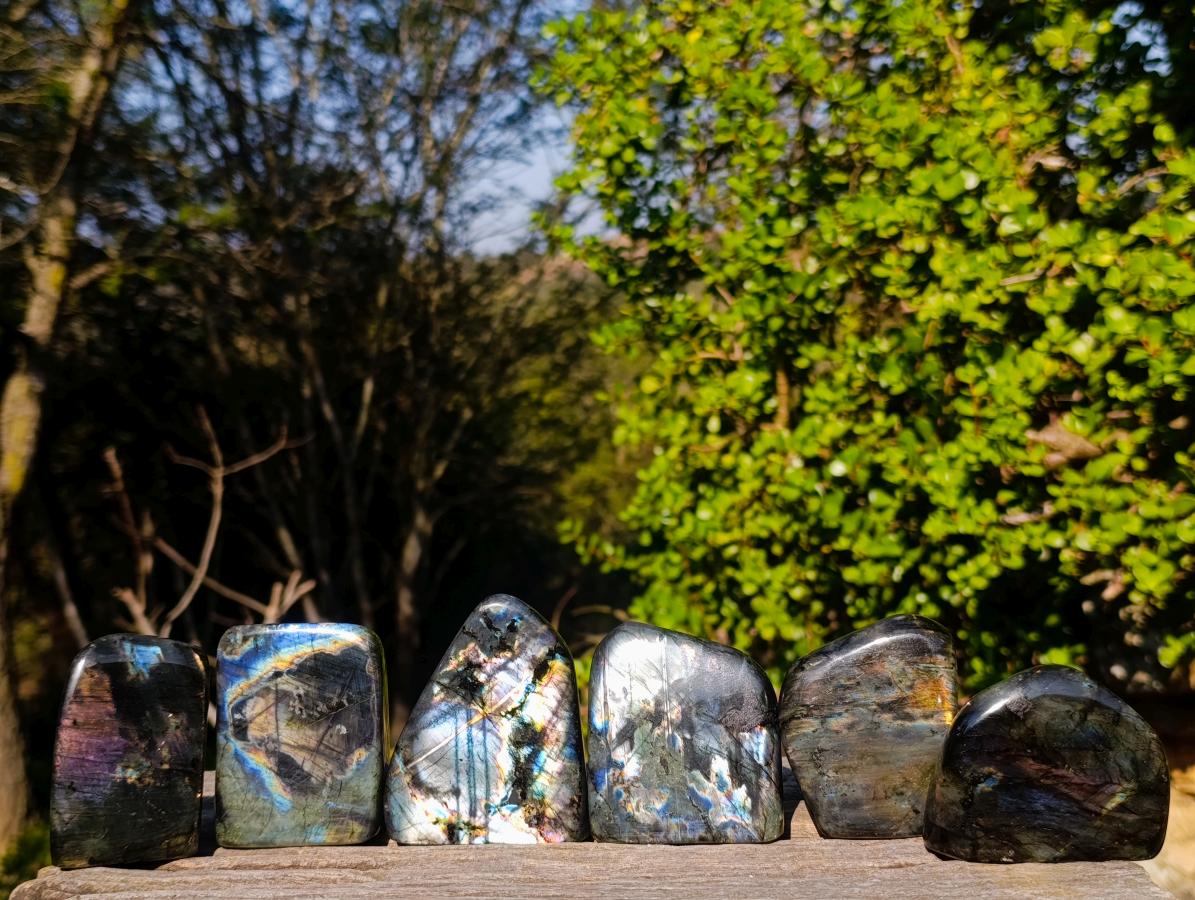 Polished Labradorite Standing Display Pieces x 6 From Madagascar - Toprock Gemstones and Minerals 