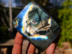 Polished Labradorite Standing Display Pieces x 6 From Madagascar - Toprock Gemstones and Minerals 