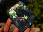 Polished Labradorite Standing Display Pieces x 6 From Madagascar - Toprock Gemstones and Minerals 