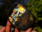 Polished Labradorite Standing Display Pieces x 6 From Madagascar - Toprock Gemstones and Minerals 