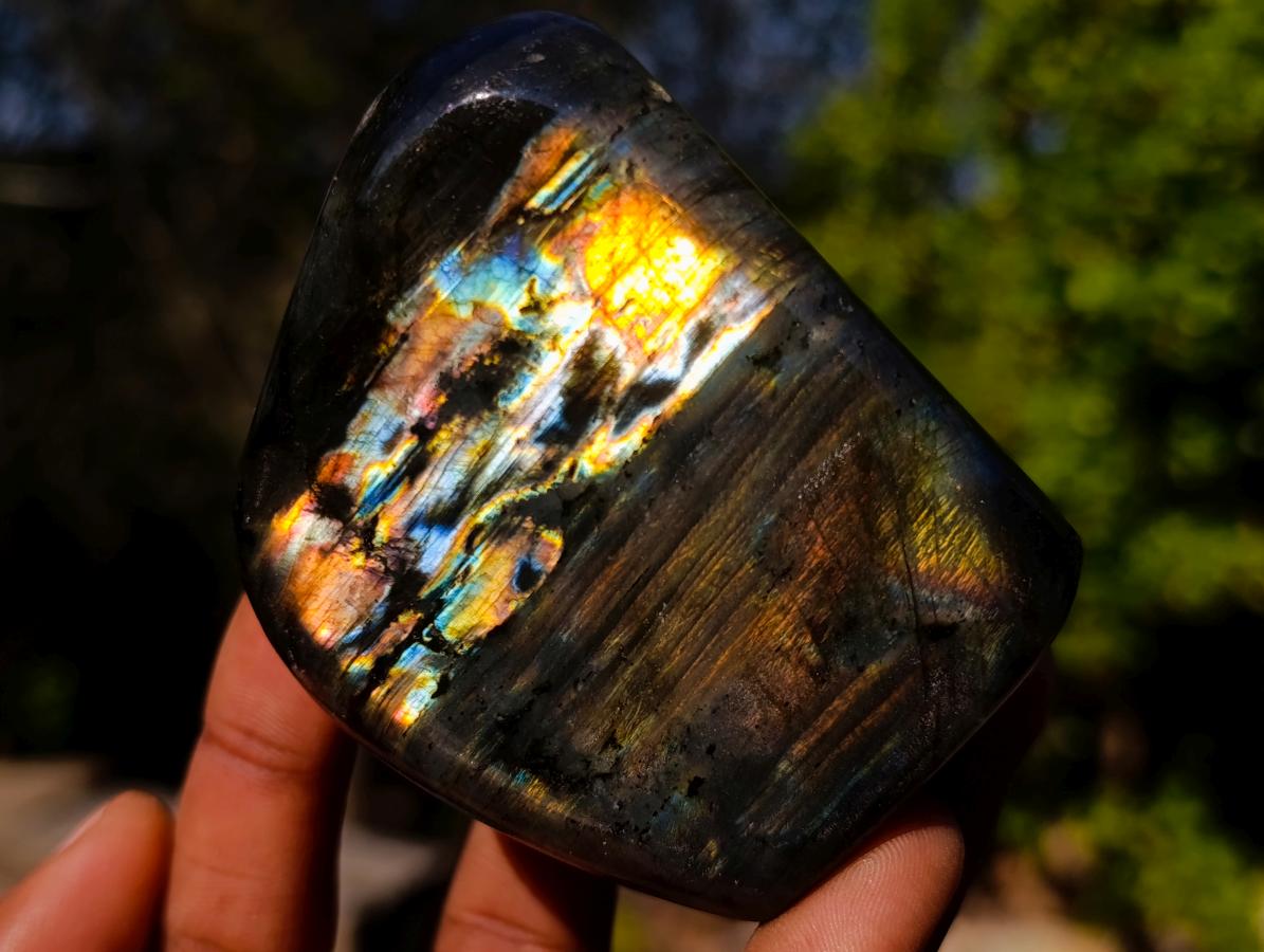 Polished Labradorite Standing Display Pieces x 6 From Madagascar - Toprock Gemstones and Minerals 