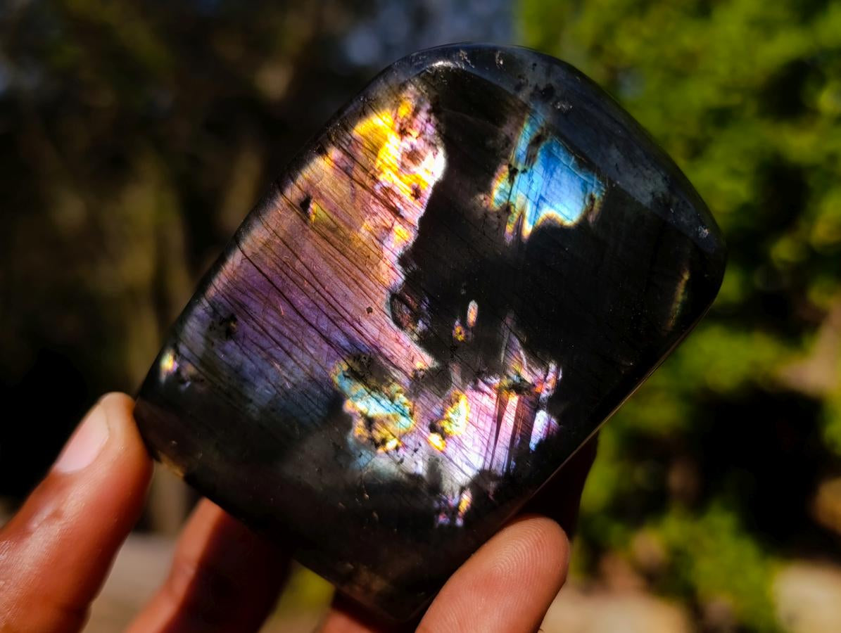 Polished Labradorite Standing Display Pieces x 6 From Madagascar - Toprock Gemstones and Minerals 