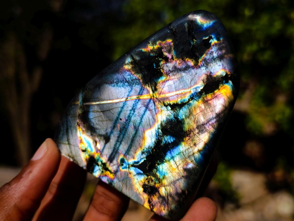 Polished Labradorite Standing Display Pieces x 6 From Madagascar - Toprock Gemstones and Minerals 
