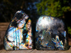 Polished Labradorite Standing Display Pieces x 6 From Madagascar - Toprock Gemstones and Minerals 