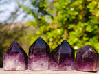 Polished Small Dark Amethyst Crystals x 20 From Akansobe, Madagascar - Toprock Gemstones and Minerals 