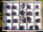 Polished Small Dark Amethyst Crystals x 20 From Akansobe, Madagascar - Toprock Gemstones and Minerals 