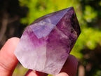 Polished Small Dark Amethyst Crystals x 20 From Akansobe, Madagascar - Toprock Gemstones and Minerals 