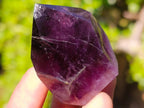 Polished Small Dark Amethyst Crystals x 20 From Akansobe, Madagascar - Toprock Gemstones and Minerals 