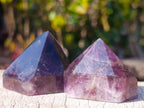 Polished Small Dark Amethyst Crystals x 20 From Akansobe, Madagascar - Toprock Gemstones and Minerals 