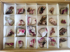 Natural Small Spherocobaltite Specimens with Heterogenite x 33 From Musonoi Mine, Congo - Toprock Gemstones and Minerals 