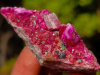 Natural Small Spherocobaltite Specimens with Heterogenite x 33 From Musonoi Mine, Congo - Toprock Gemstones and Minerals 