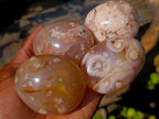 Polished Flower Agate Palm Stones x 12 From Antsahalova, Madagascar - Toprock Gemstones and Minerals 