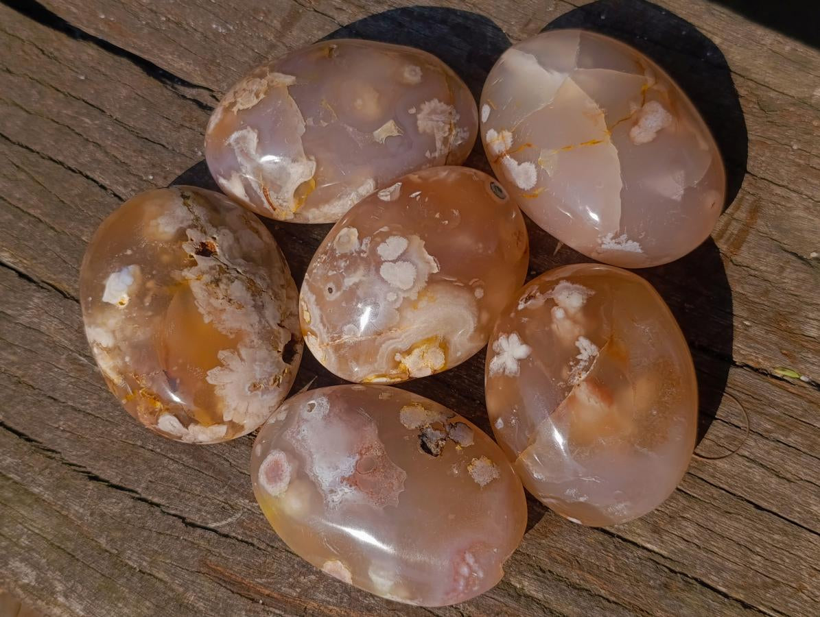 Polished Flower Agate Palm Stones x 12 From Antsahalova, Madagascar - Toprock Gemstones and Minerals 